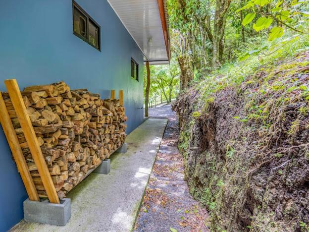 Cantos Del Bosque Monteverde Eksteriør billede