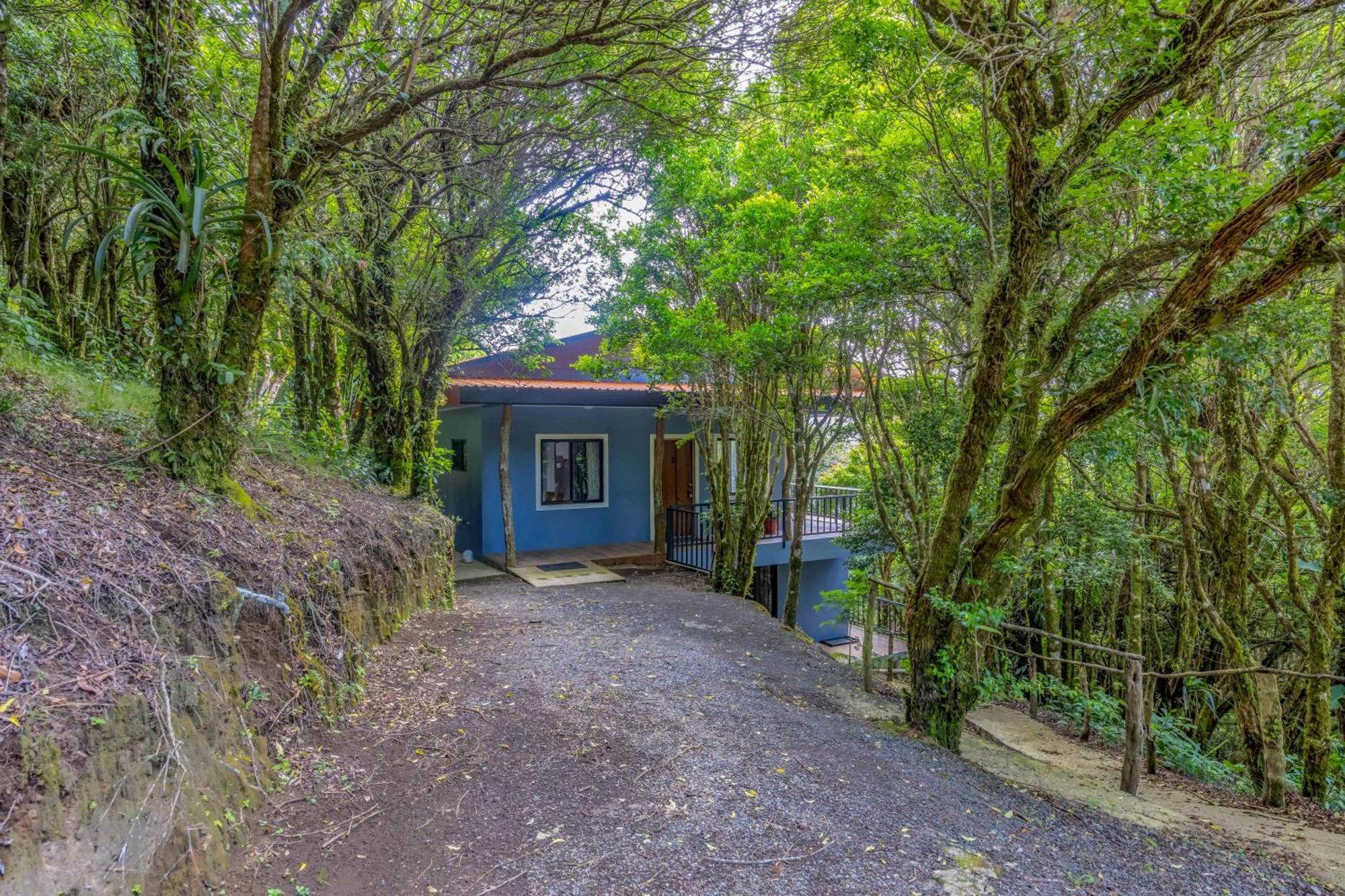 Cantos Del Bosque Monteverde Eksteriør billede