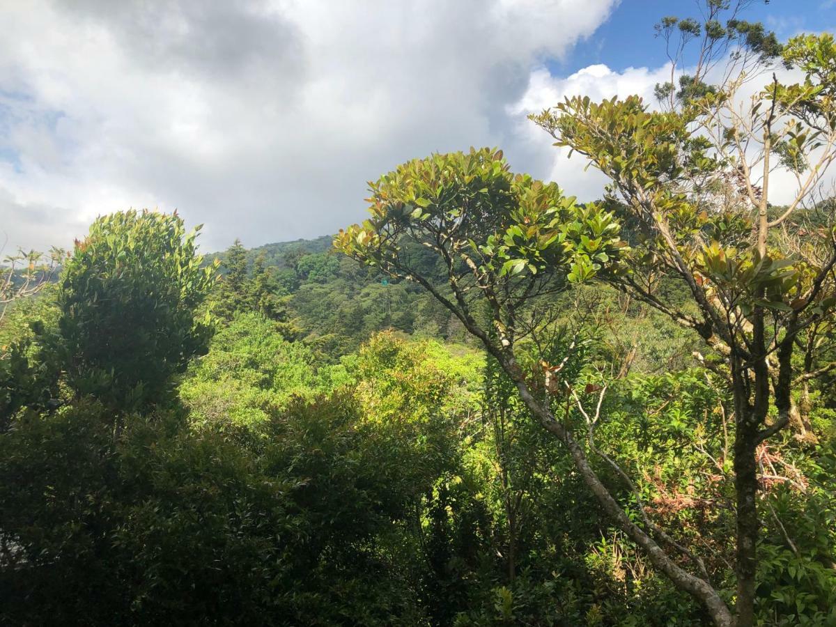 Cantos Del Bosque Monteverde Eksteriør billede